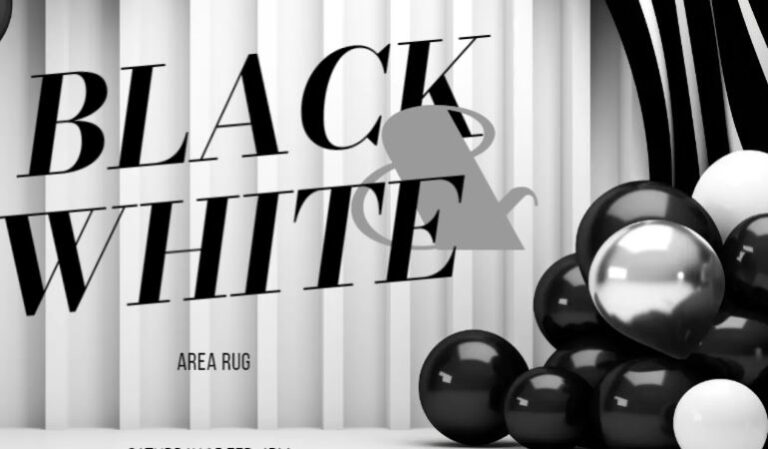 black and white area rug